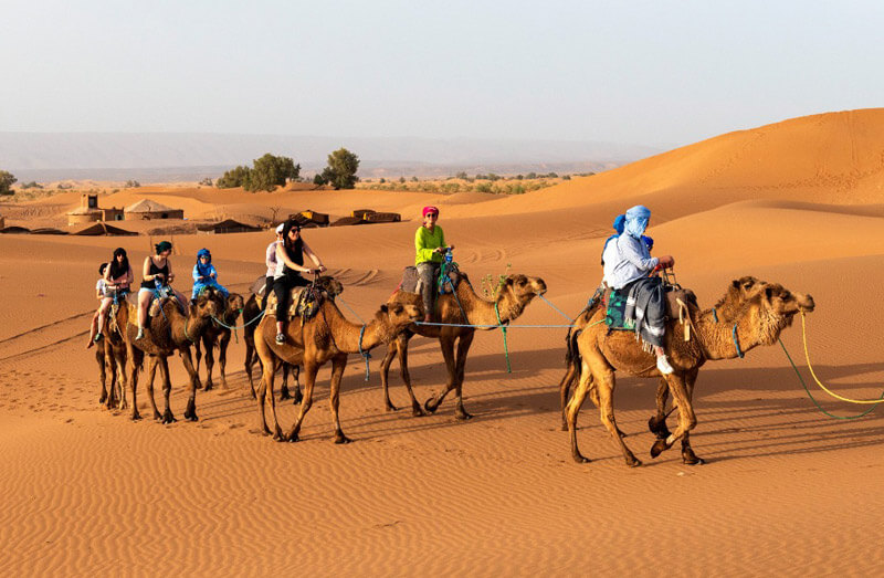 paseo en camello marrakech