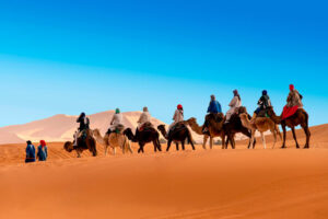 camel trekking in morocco