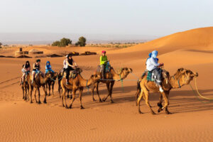 camel rides in morocco