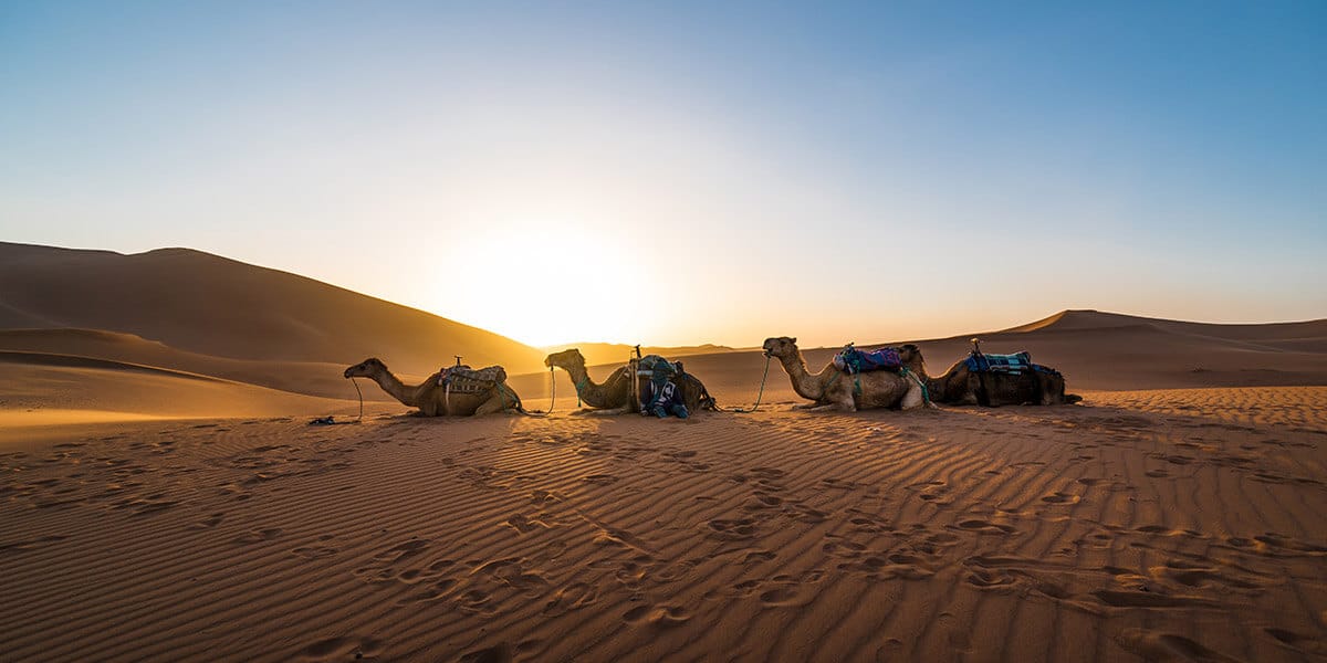 Erg Chebbi: What is it, where is it and what to do in this desert destination